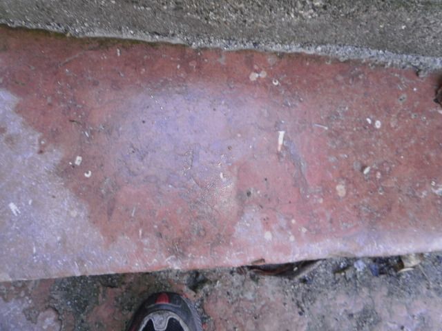 2. Adneter Kalkstein "Marmor" (Treppenstufe mit Seelilienfossilien (Anfang 2019 leider durch Nagelfluhstufen ersetzt)) 1. Unten Kalktuff, oben Nagelfluh (Foto: E.-J. Spindler) 2. Adneter Kalkstein "Marmor" (Treppenstufe mit Seelilienfossilien (Anfang 2019 leider durch Nagelfluhstufen ersetzt)) 1. Unten Kalktuff, oben Nagelfluh (Foto: E.-J. Spindler)